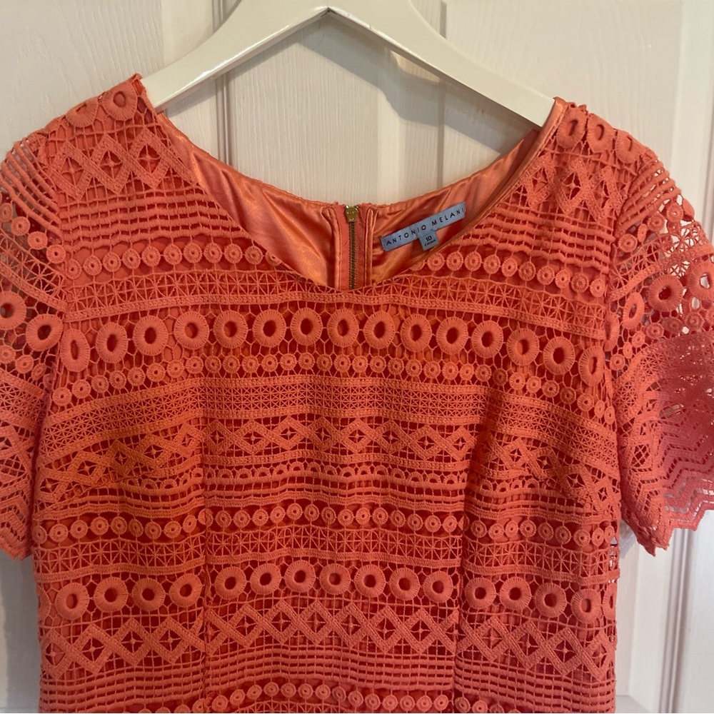 Antonio Melani Dress, Size 10